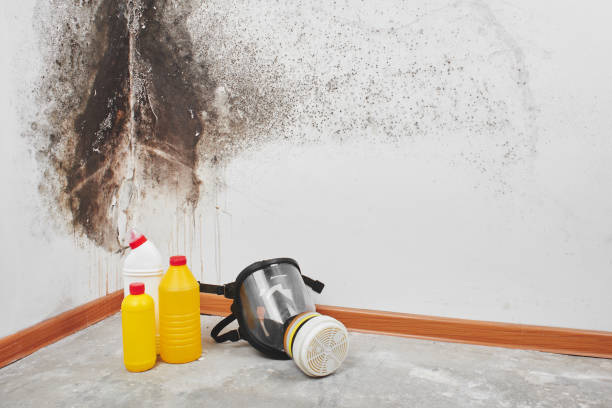 Best Toxic Mold Removal  in Unadilla, GA