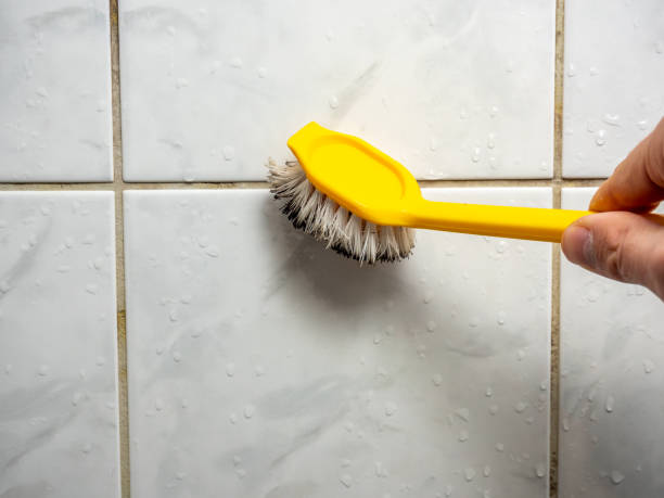Office Mold Removal Services in Unadilla, GA