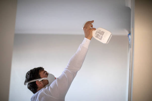Best Office Mold Removal Services  in Unadilla, GA