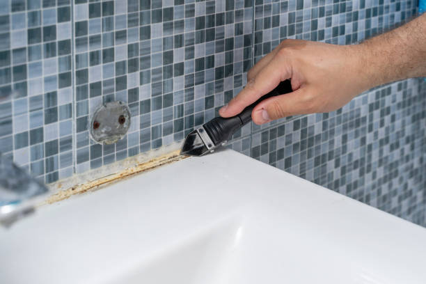 Best Mold Removal Company Near Me  in Unadilla, GA