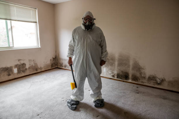 Best Same-Day Mold Removal  in Unadilla, GA